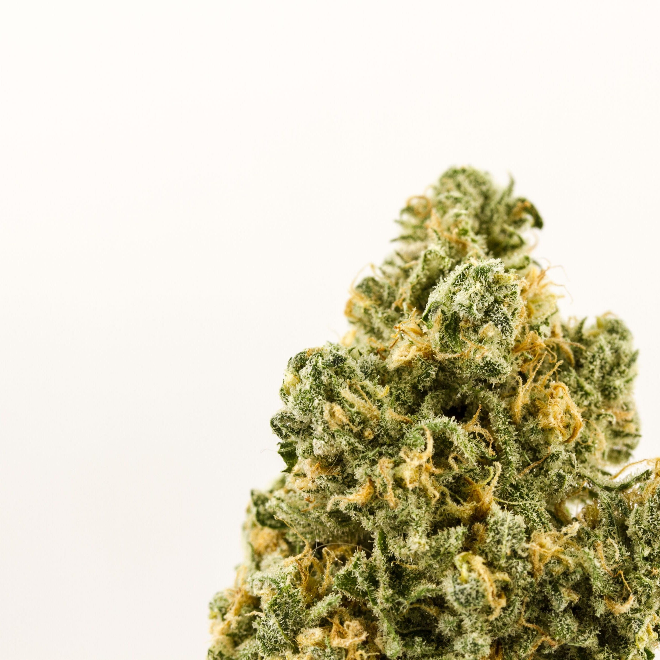 Arbors Wellness Kusai Leafly